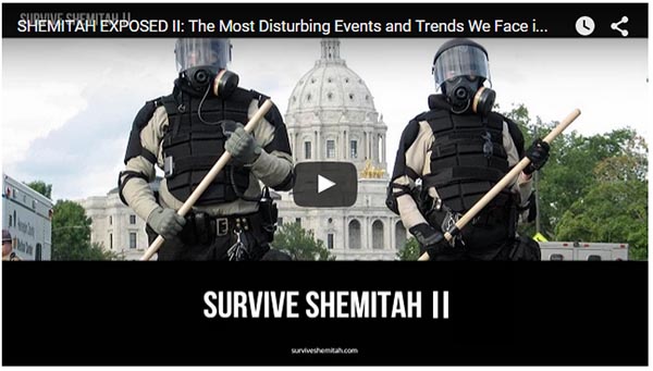 Survive Shemitah II Dollar Vigilante Jeff Berwick