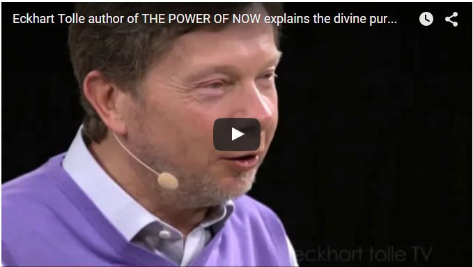 Eckhart Tolle Dollar Vigilante Iboga