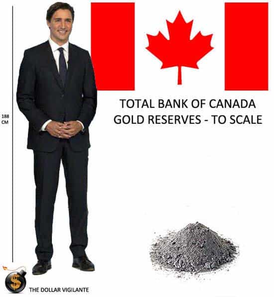 Total Bank of Canada Gold Reserves to Scale 2016 - Justin Trudeau - dust - The Dollar Vigilante