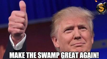 maketheswampgreatagain