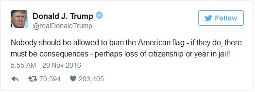trumpflagburning