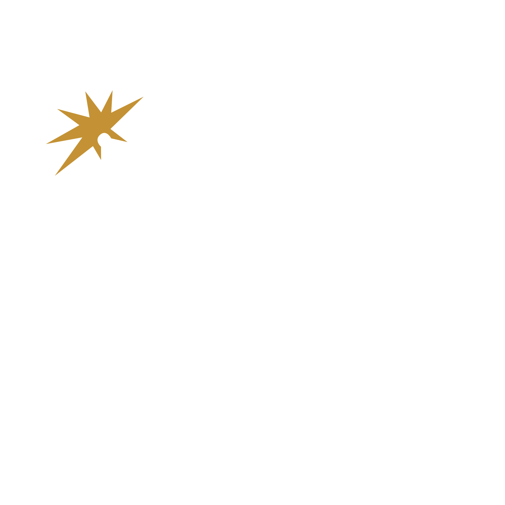 NEW TCV BOMB - WHITE AND GOLD - NO BACKGROUND